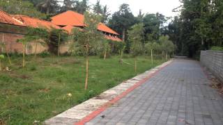 Tanah Kavling Kemenuh | Kemenuh | Sukawati | Gianyar 80582 | Bali