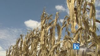 Experts offer tips to prepare for harvest