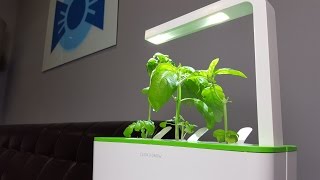 INDOOR ROBOT GARDEN?!