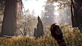 Far Cry Primal + Reshade 2.0