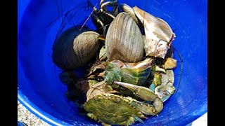 Cuoc Song O My, Mò Cua Bắt Ốc và BBQ tại chỗ - Người Việt Florida