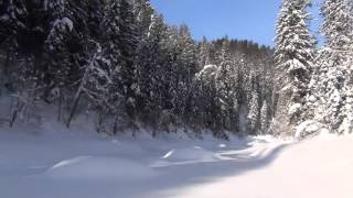 Тайга Зимняя Охота Hunting taiga / Сказочная тайга / Там где живет медведь