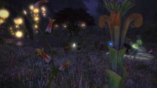 Wulgaru S Rank Hunt