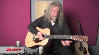 C. F. Martin D12X1AE