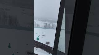 Окна veka softline 70.