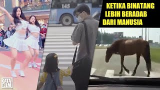 JADI CATWALK ABG CITAYAM, ZEBRA CROSS REKAM MOMEN UNIK, SERU HINGGA HARU