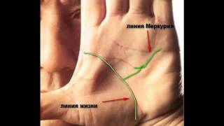 Джеки Чан. Хиромантия. Анализ руки.