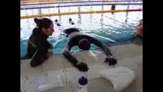8:14 Women's Static Apnea Czech National Record - Gabriela Grézlová
