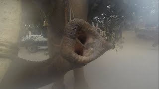 Chapra to Ghazipur
