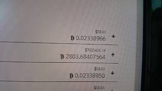 Bitcoin Cryptocurrency trading robot for Bittrex Poloniex Bitthumb