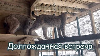Долгожданная встреча / Новый вольер для Мартина