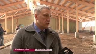 Развитие мясного животноводства станет приоритетным направление агро-промышленного комплекса