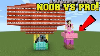 Minecraft: NOOB VS PRO!!! - MASTER BUILDER! - Mini-Game