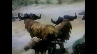 XXX Goats!