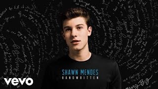 Shawn Mendes - Imagination (Audio)