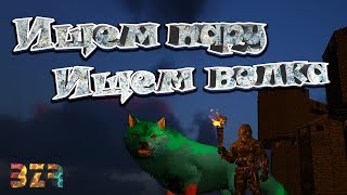 Розыгрыш Игр | ARK: Survival Evolved | Ищем волка | ищем пару | BraZeR_TV