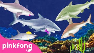 Акулёнок???? | Семья Акул | Пинкфонг Песни для Детей