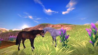 клип star stable|i hate you i love you