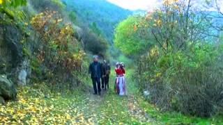 Asiq Gunel Tovuzlu Mezahir Qazaxli