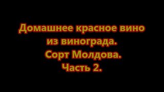 Часть 2. Домашнее красное вино из винограда.  Сорт Молдова .