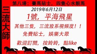 賽馬貼士6月12日沙田   第八場/精選/平海飛星