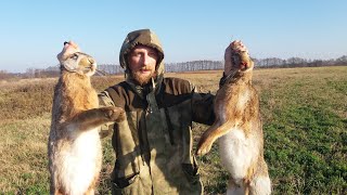 КРАСИВАЯ ОХОТА НА ОГРОМНЫХ ЗАЙЦЕВ!!! beautiful hunting 2018 - 2019