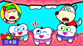 Wolfooと歯を育てるときの赤ちゃんについての話 | 童謡 | アニメ | 動画 | Wolfoo Japan