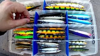 Fishing Hack: Tangle Free Crankbait Storage