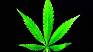 Piada da maconha vc vai morrer de rir!
