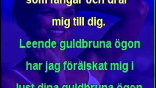 Leende guldbruna ögon (karaoke)