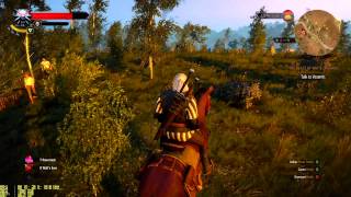 The Witcher 3 r9 295x2 1080p 1440p 1800p performance test