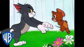 Tom et Jerry en Français | Cours, Jerry, cours! | WBKids