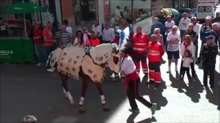 FIESTA A CARAVACA DE LA CRUZ 2016