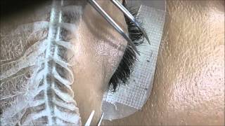 Classic lashes application