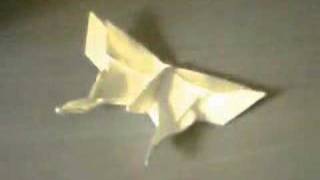 origami butterfly hip hop