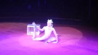 The Frog. Contorsion. Клишник