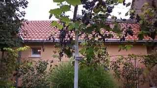 Test camera Panasonic Lumix DMC-F3