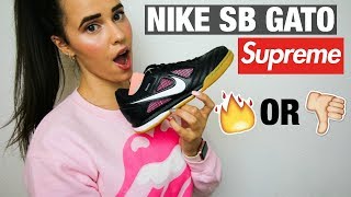 Supreme x Nike SB Gato Review | jordan alleva