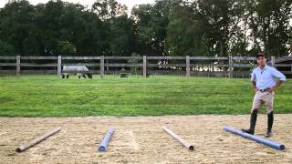 A Simple Three Part Gymnastics Exercise: For Your Horse...