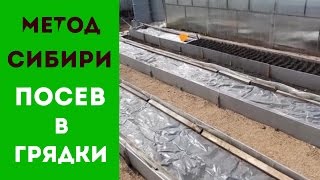 СИБИРСКИЙ МЕТОД ПОСЕВА ЗЕЛЕНИ И ОВОЩЕЙ В ГРЯДКИ