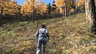 Dayz .58 Hacker ZMS