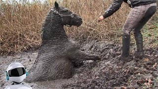 10 СПАСЕНИЙ ЖИВОТНЫХ СНЯТЫХ НА КАМЕРУ