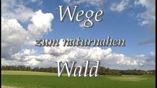 Wege zum naturnahen Wald