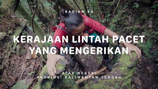 GUNUNG BUKIT RAYA - Atap Negeri Kalimantan Tengah #3
