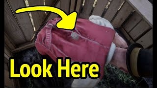15 Things You Didn't Know in Red Dead Redemption 2 (RDR2)