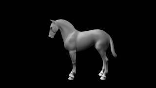 Horse Stomp 3D Animation