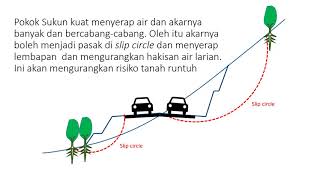 Pokok Sukun Meperkukuhkan Jalan Raya