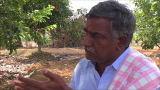 Natural Farming Success Story _Nellore