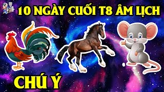 GIỚI TỬ VI RÙNG MÌNH, 3 CON GIÁP ĐƯỢC BỀ TRÊN NHẮC MỆNH, CHÚ Ý ĐIỀU NÀY VÀO 10 NGÀY CUỐI T8 ÂM LỊCH