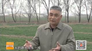 20160419 科技苑  他用空气杀韭蛆